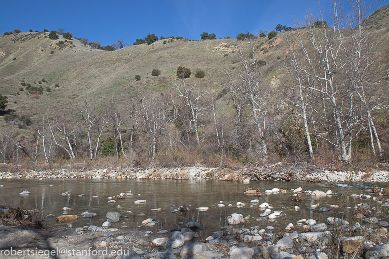 arroyo seco